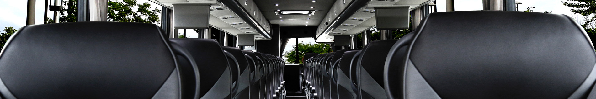 looking for luxury van & bus charter rentals?